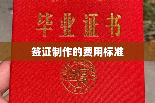 陆川签证制作的费用标准